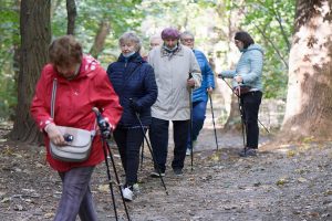 Activités variées pour seniors en résidence, entre créativité et partage